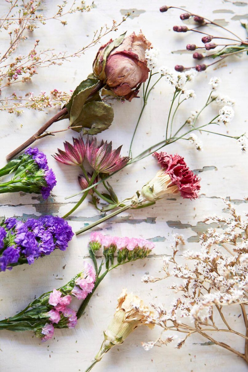 Poems & Posies
