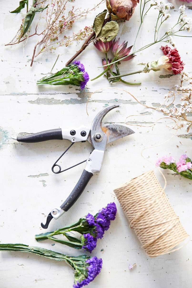Poems & Posies