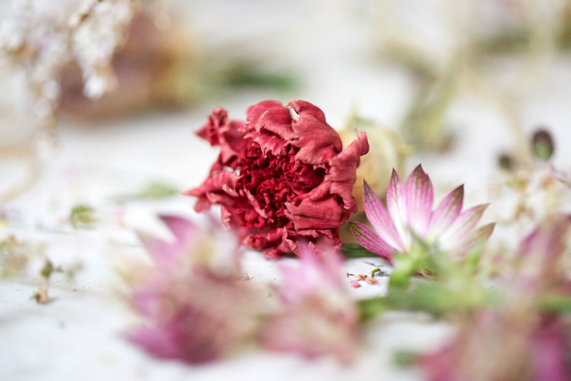 Poems & Posies