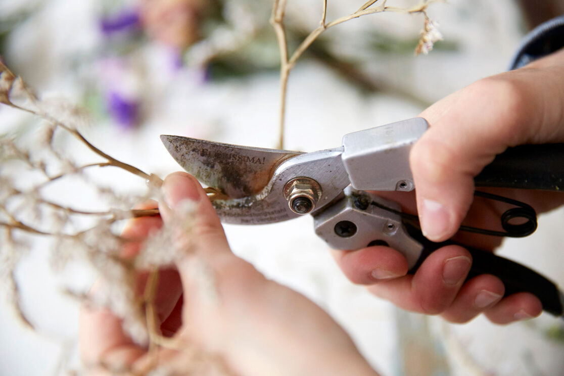 Poems & Posies
