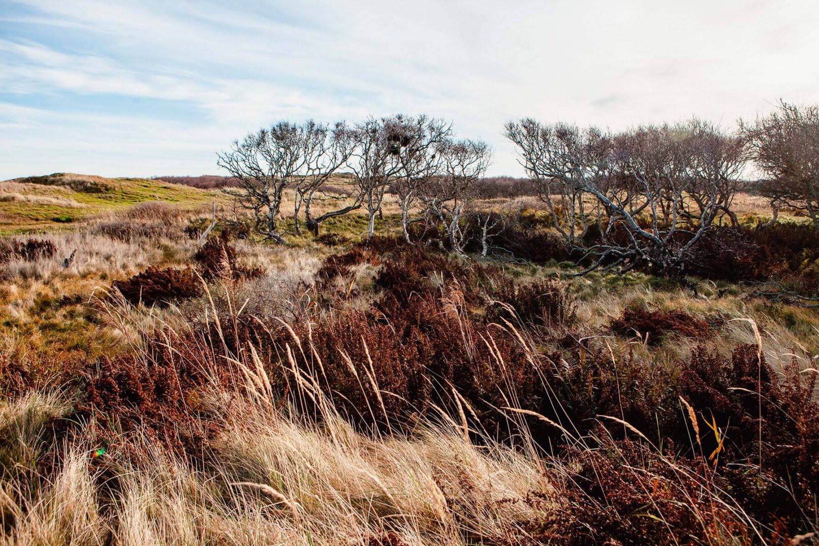 Norderney Landschaft